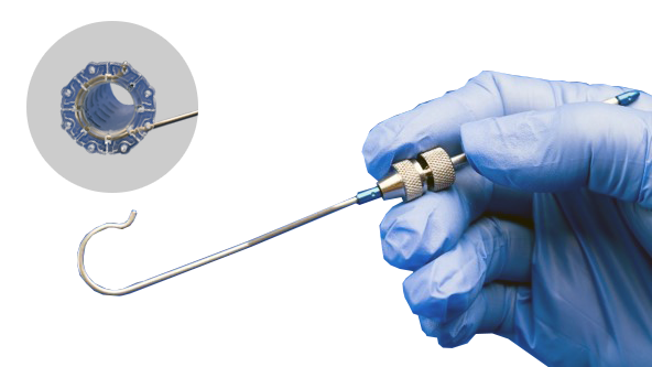 shepherds hook in hand